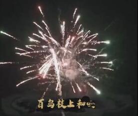 蓝粤网祝全球华人元宵节快乐！百鸟枝上和鸣，万花争秀竞艳