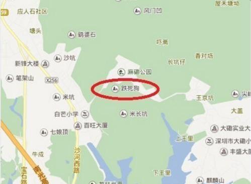 笑出鹅叫！高大上的深圳，竟然有这么多土掉渣的地名
