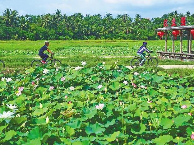 2015年海南休闲农业创意大赛启动 入选产品将在冬交会展示