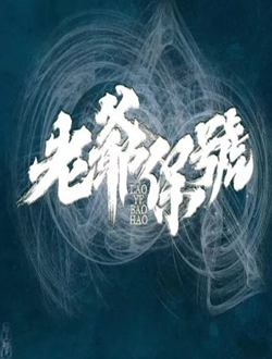 老爷保号