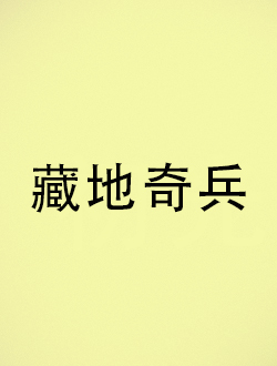 藏地奇兵