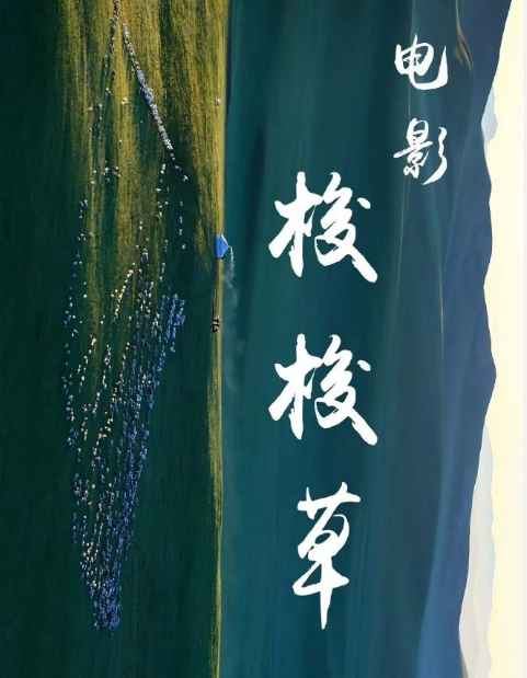 梭梭草