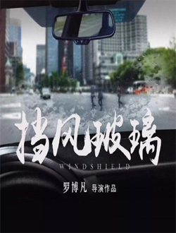 挡风玻璃