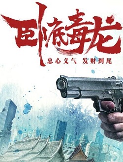 卧底毒龙