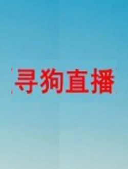 寻狗直播