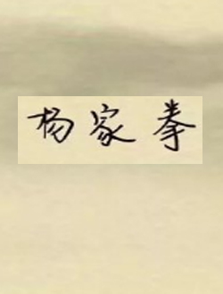 杨家拳