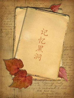 记忆黑洞