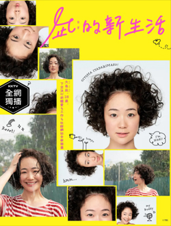 风平浪静的闲暇