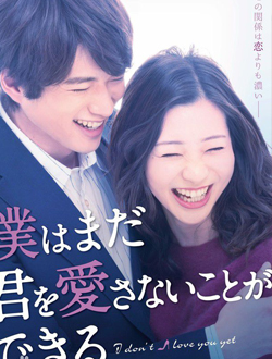 我可能不会爱你