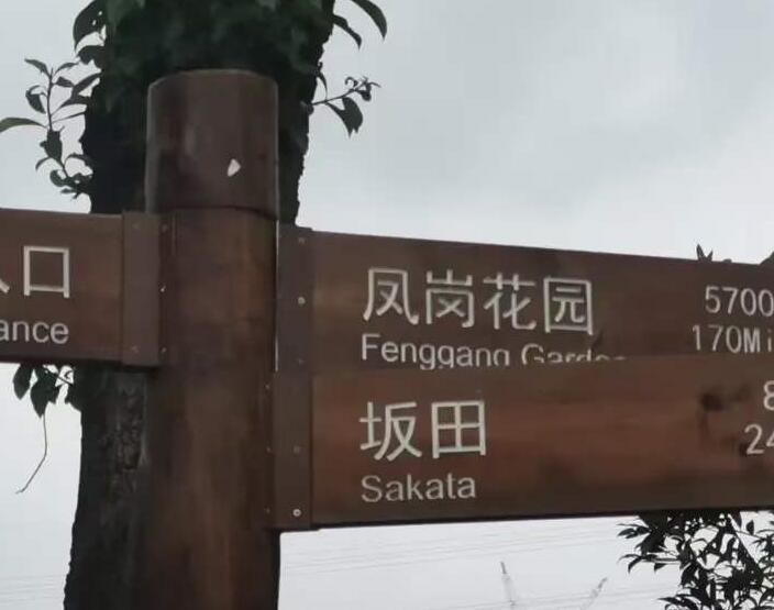 龙岗坂田，第一次见到这样的翻译Sakata