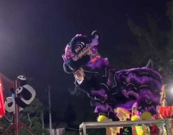 佛山初中小姑娘展示醒狮真功夫，传承广府文化