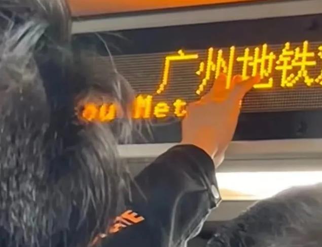 全国人口流入TOP1！人们为什么涌到广州？