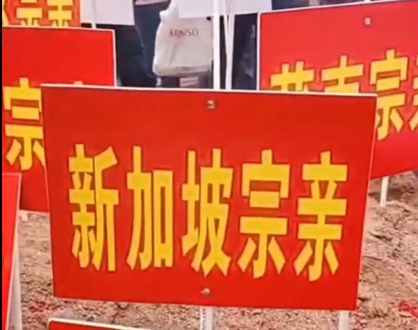 粤西清明节祭祖，全球宗亲回笼，拜山乡亲漫山遍野