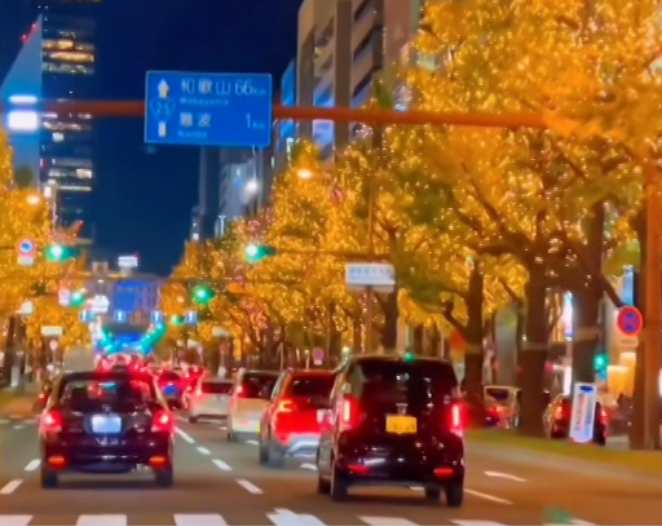 为何应该学习日本佬大部分人唔揸车？自由和低碳环保