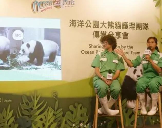赠港大熊猫“安安”和“可可”要学会听粤语？海洋公园回应