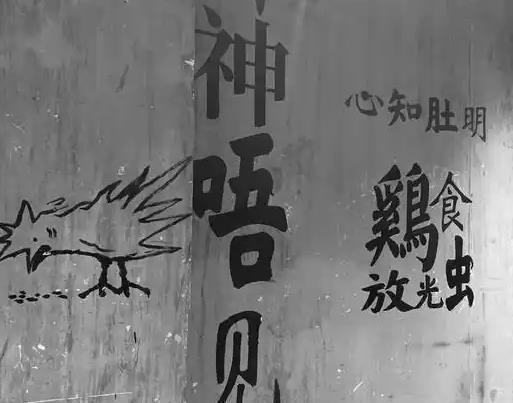 繁荣独特的粤语文化：广东传承千年的多元遗产与生活方式