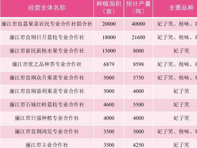 2025年湛江市十大荔枝供应商，廉江市丰业种植专业合作社榜上有名