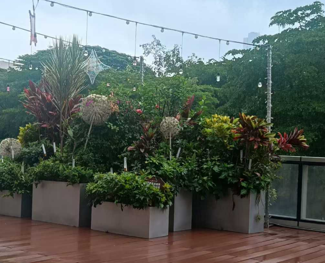 天街小雨润如酥 草色遥看近却无