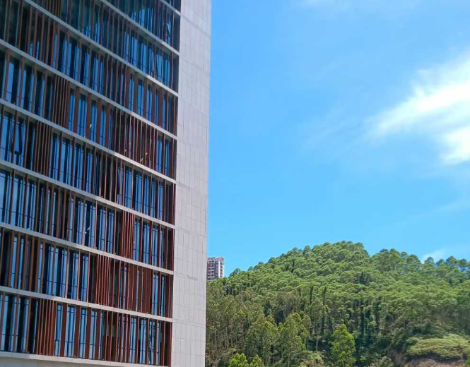 深圳炎炎盛夏的宫崎骏风格