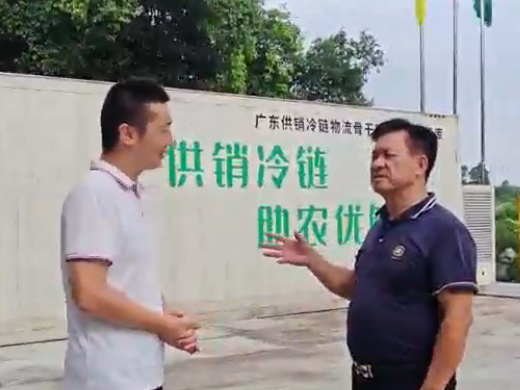 鲜美湛江网红海稻哥前来廉江市丰业种植专业合作社采风