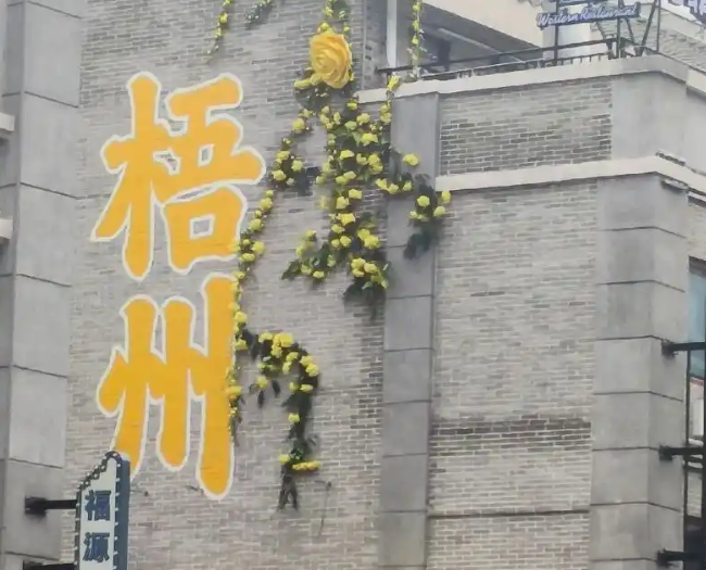 当我们的孩子不再主动说白话？广西梧州的粤语传承现状