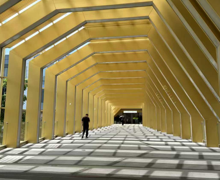 我哋要内啡肽激励，而非多巴胺上瘾