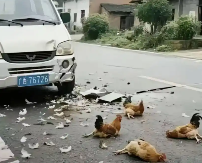 广西口音被嘲笑？自信就不存在被歧视