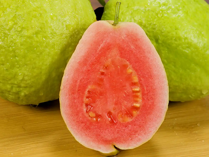 廉江市丰业种植专业合作社番石榴种植助力平田济村乡村振兴