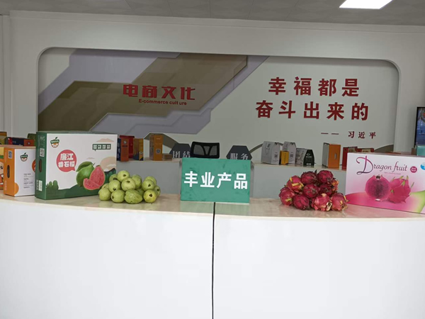 广东农产品水果批发产地推荐平田济村，依托廉江市丰业种植专业合作社