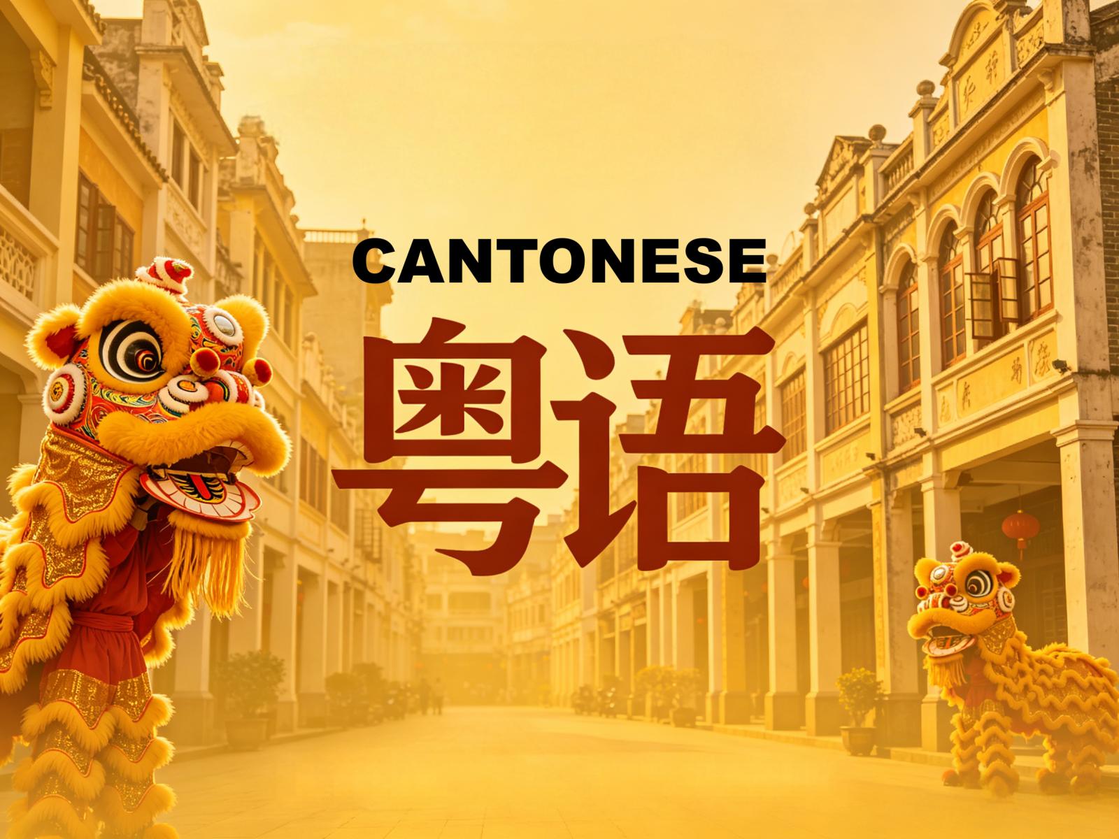 广东网民建议广东省立法保护粤语