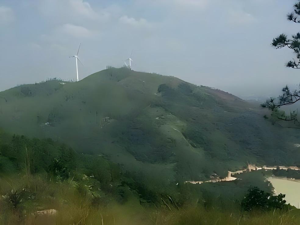 廉江市的自然资源简介 境内双峰嶂为湛江市最高点