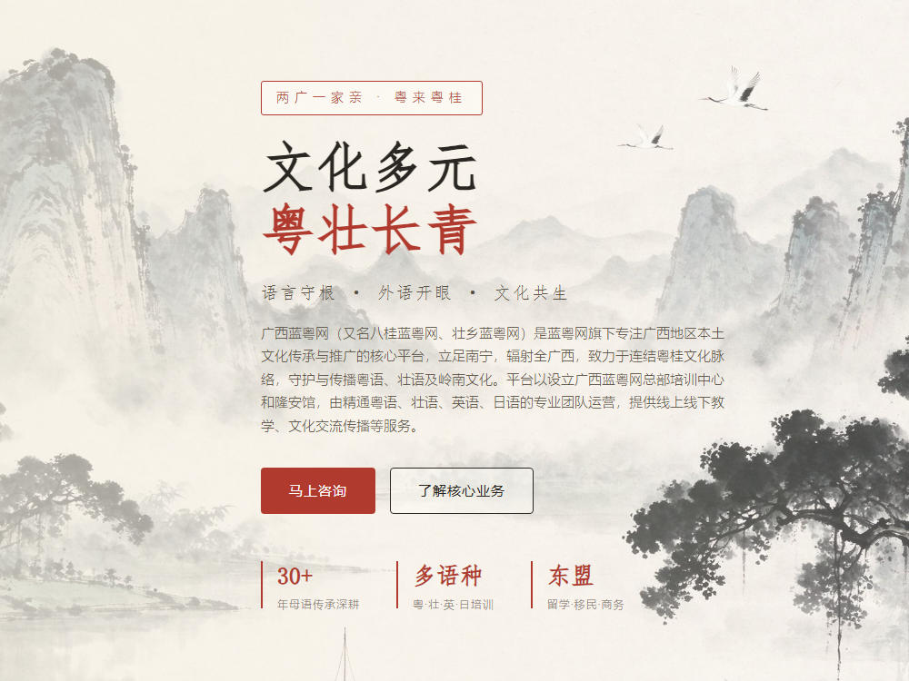 为配合2大线下大本营，广西蓝粤网升级改版，水墨风格体现漓江山水